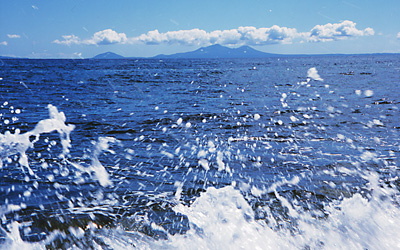 墓じまいで3つの遺骨を散骨代行する場合の料金を教えて下さい。