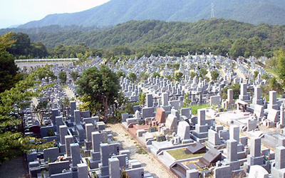 墓じまいをされる方が増えていると聞きましたが？