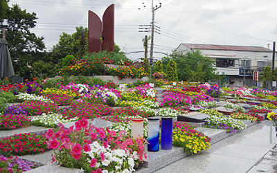 粉骨サービスをした場合、どんな納骨方法や供養が考えられますか？