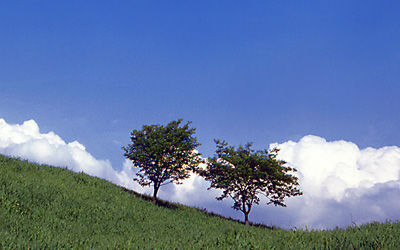 粉骨のこと<br>粉骨サービス「ご遺骨の粉末化」とは、