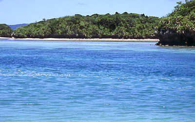 散骨のこと<br>散骨のことについて