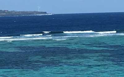 海洋散骨の一般的な費用と御社の散骨代行費用を教えて下さい。