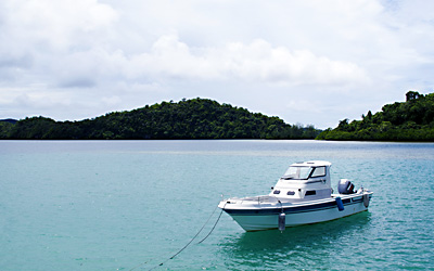 海洋散骨で、散骨代行とはなんですか？