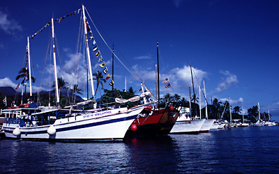 海洋散骨の種類を教えて下さい。