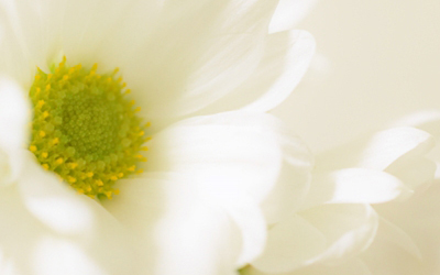 Ｑ＆Ａ　よくある質問<br>自宅供養について