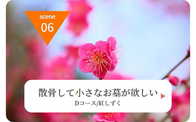 Ａ子さんの場合　SCENE06
（ご利用イメージ）
散骨して小さなお墓が欲しい