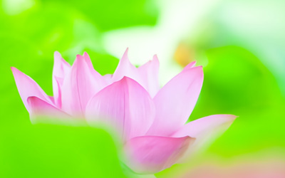 墓じまいのこと<br>お墓の歴史/パラダイムシフトについて